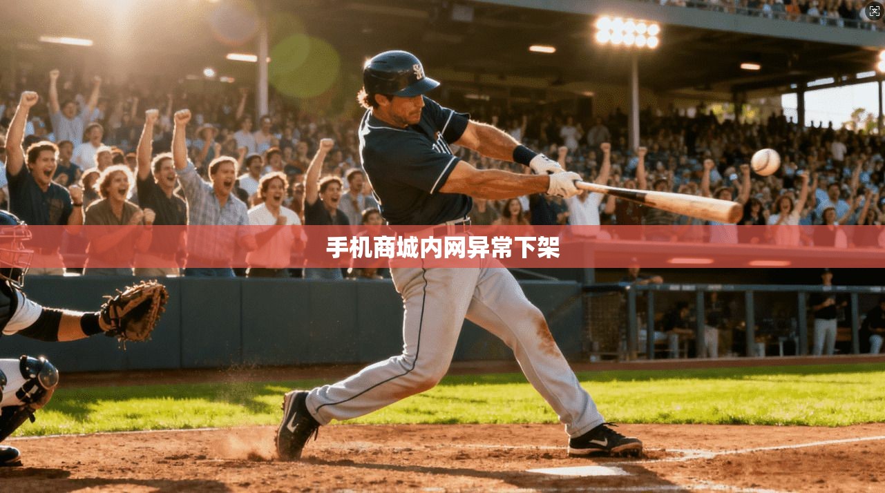 手机商城内网异常下架