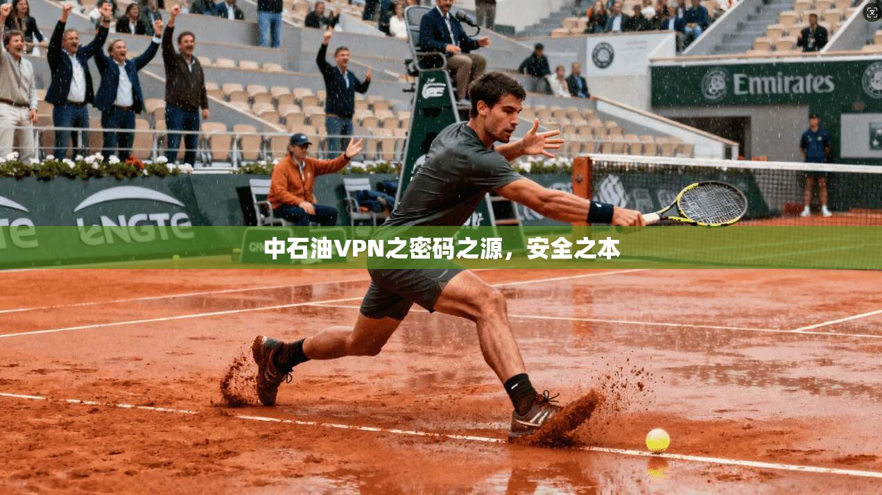 中石油VPN之密码之源，安全之本