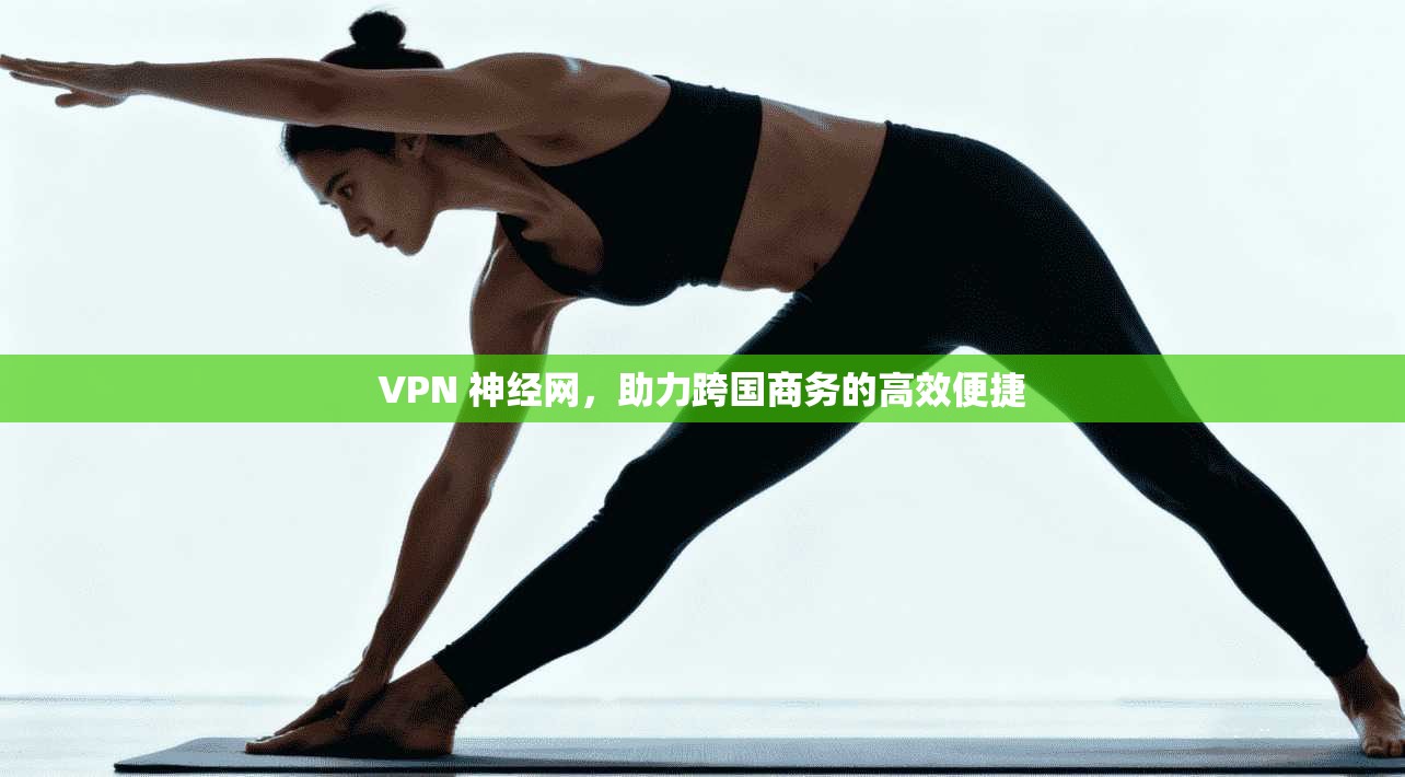 VPN 神经网，助力跨国商务的高效便捷