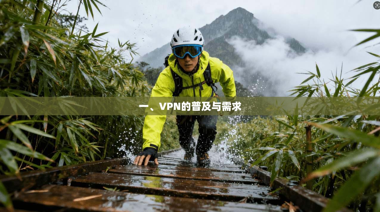 一、VPN的普及与需求