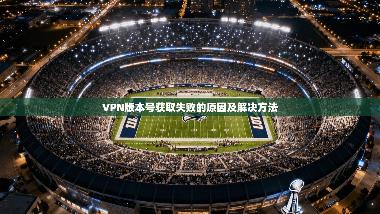 VPN版本号获取失败的原因及解决方法