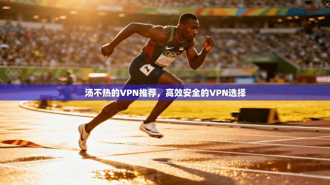 汤不热的VPN推荐，高效安全的VPN选择