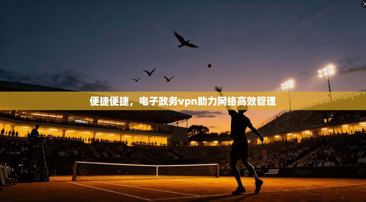 便捷便捷,电子政务vpn助力网络高效管理