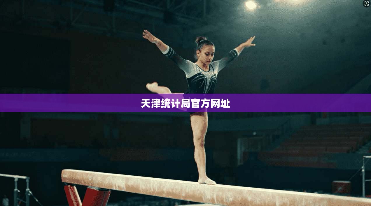 天津统计局官方网址