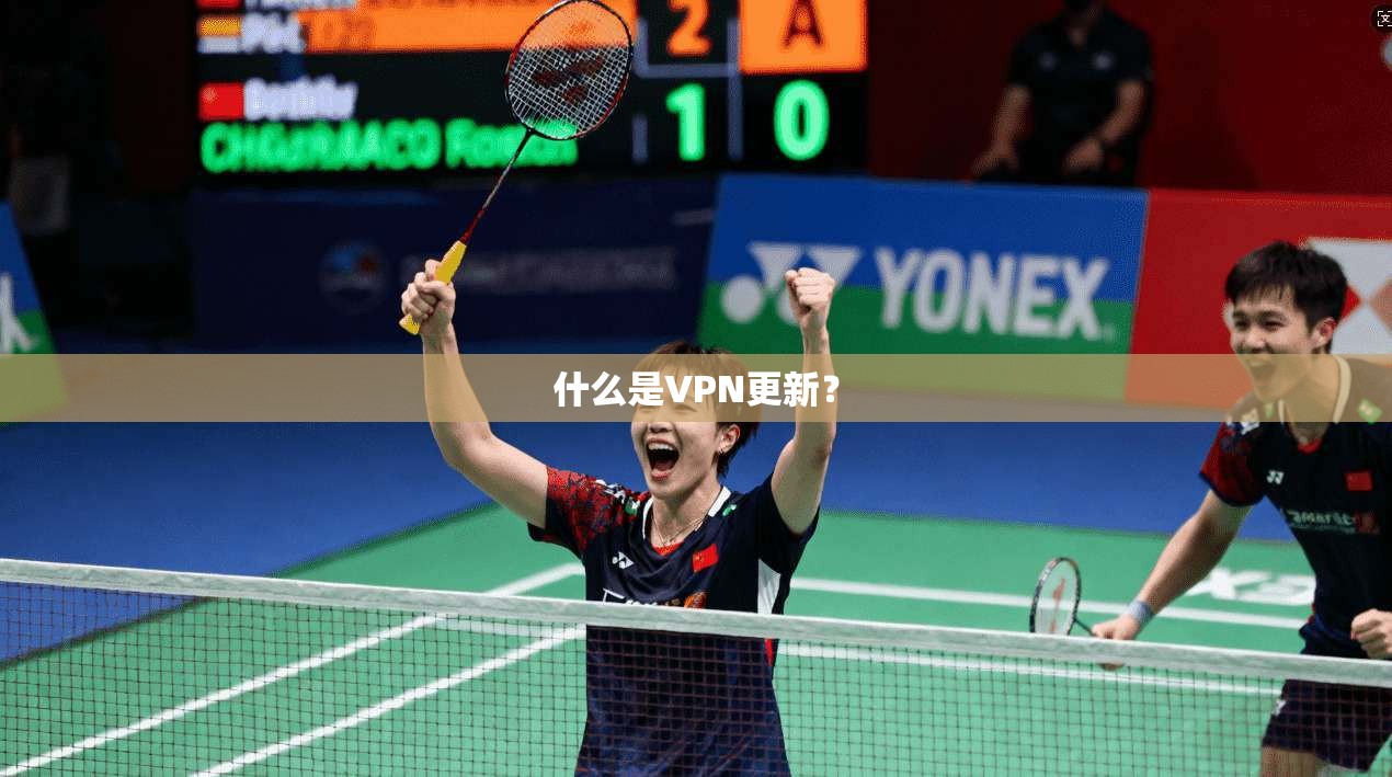 什么是VPN更新？