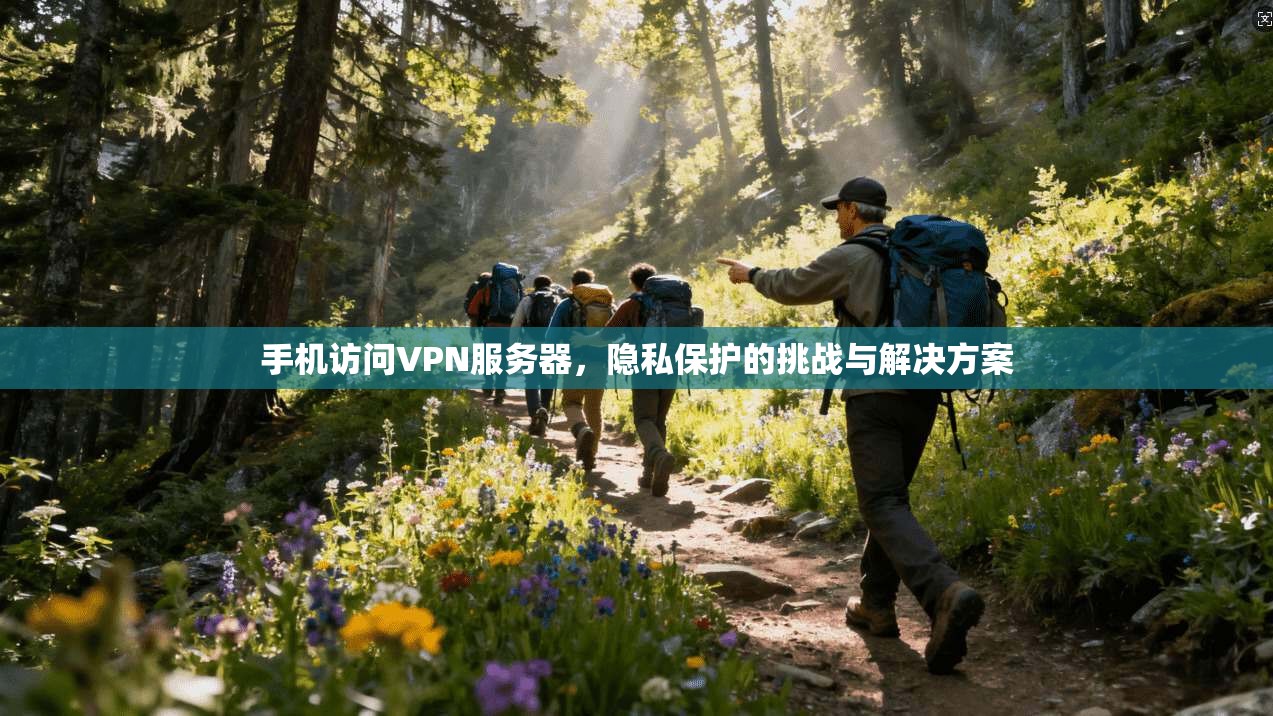 手机访问VPN服务器，隐私保护的挑战与解决方案