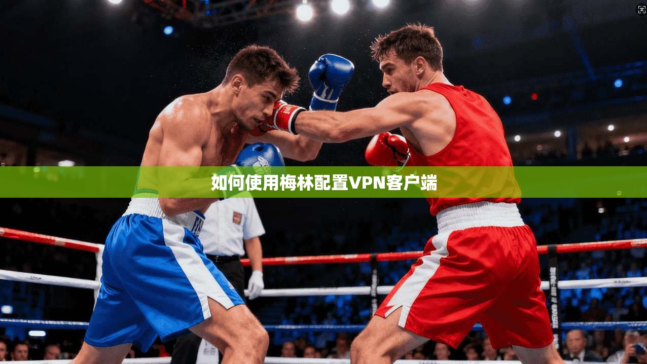 如何使用梅林配置VPN客户端