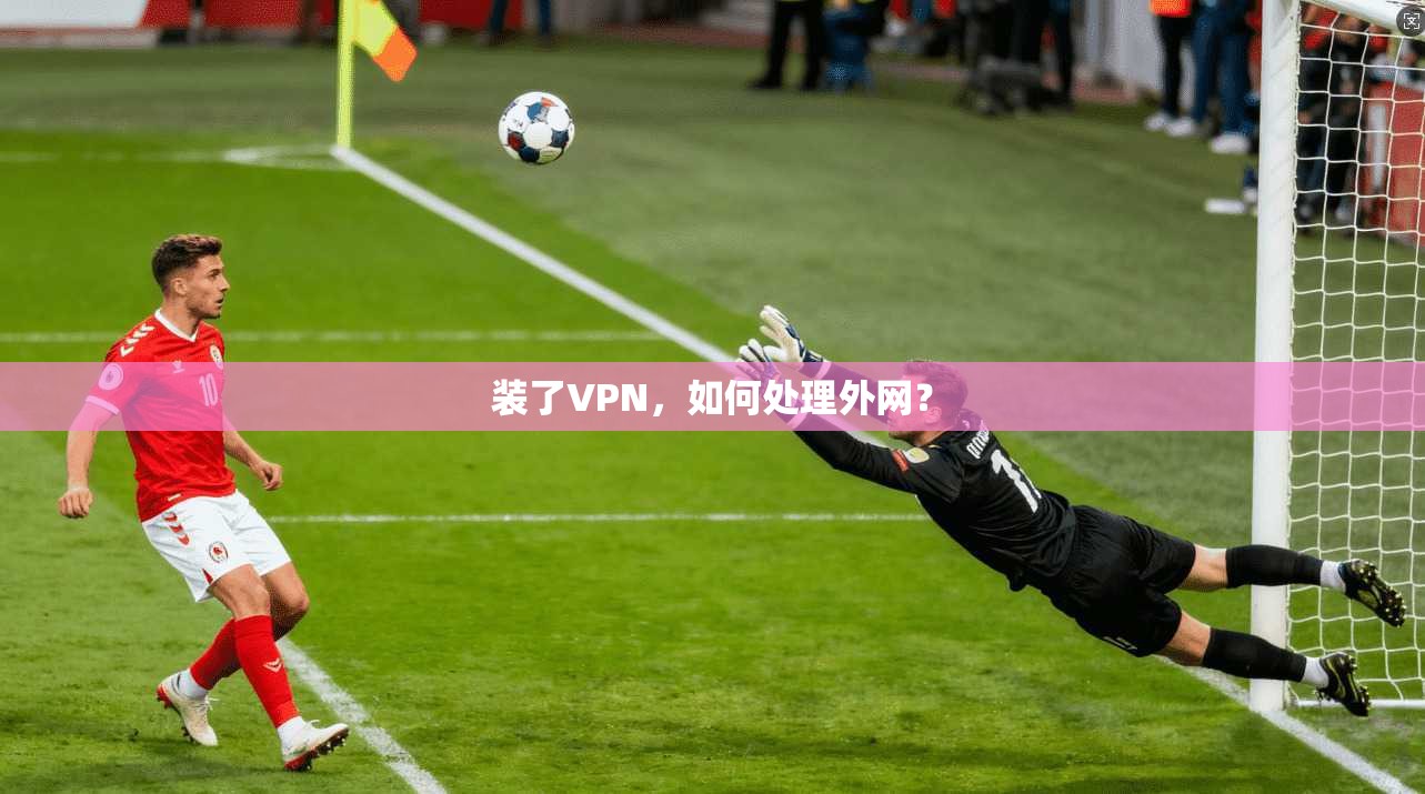 装了VPN,如何处理外网?