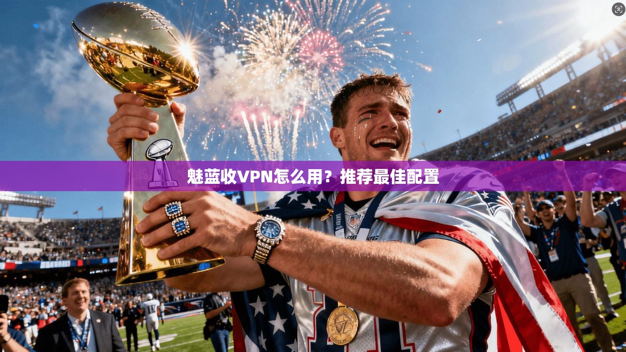 魅蓝收VPN怎么用?推荐最佳配置