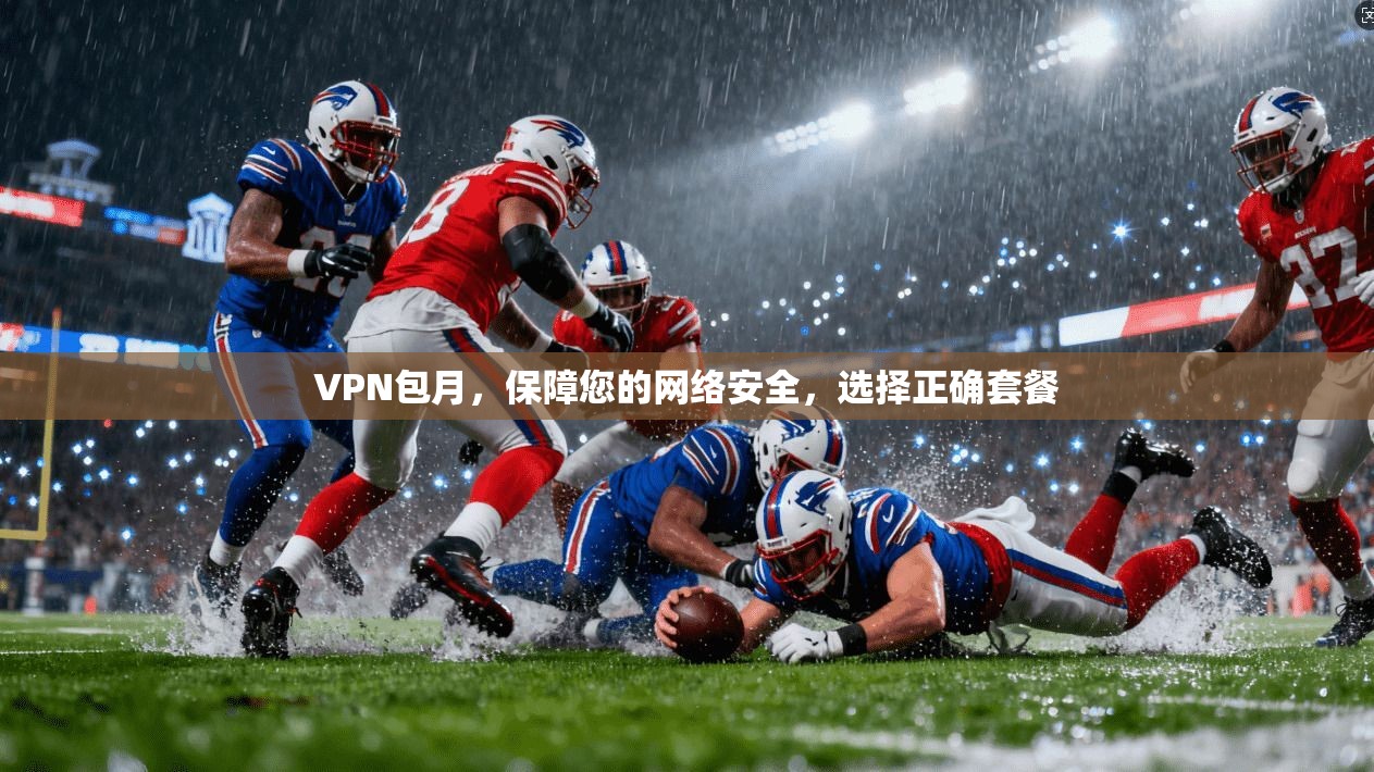 VPN包月,保障您的网络安全,选择正确套餐