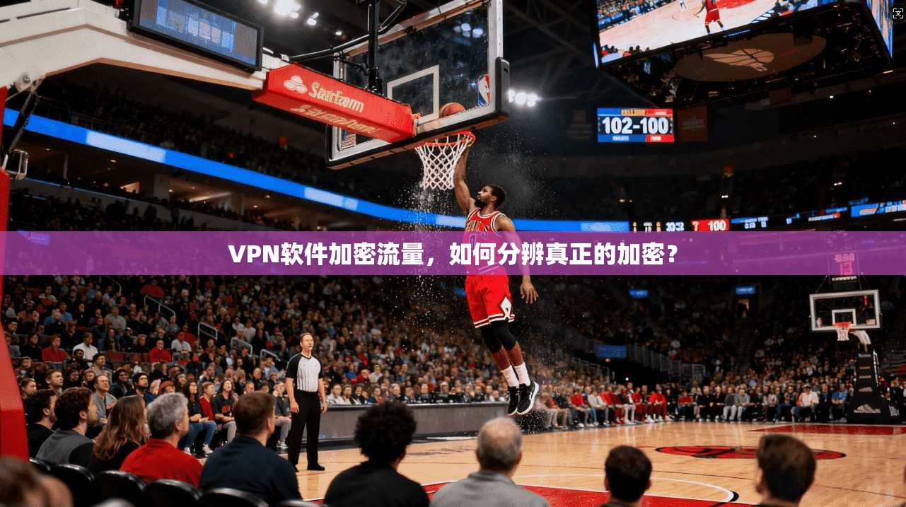 VPN软件加密流量，如何分辨真正的加密？