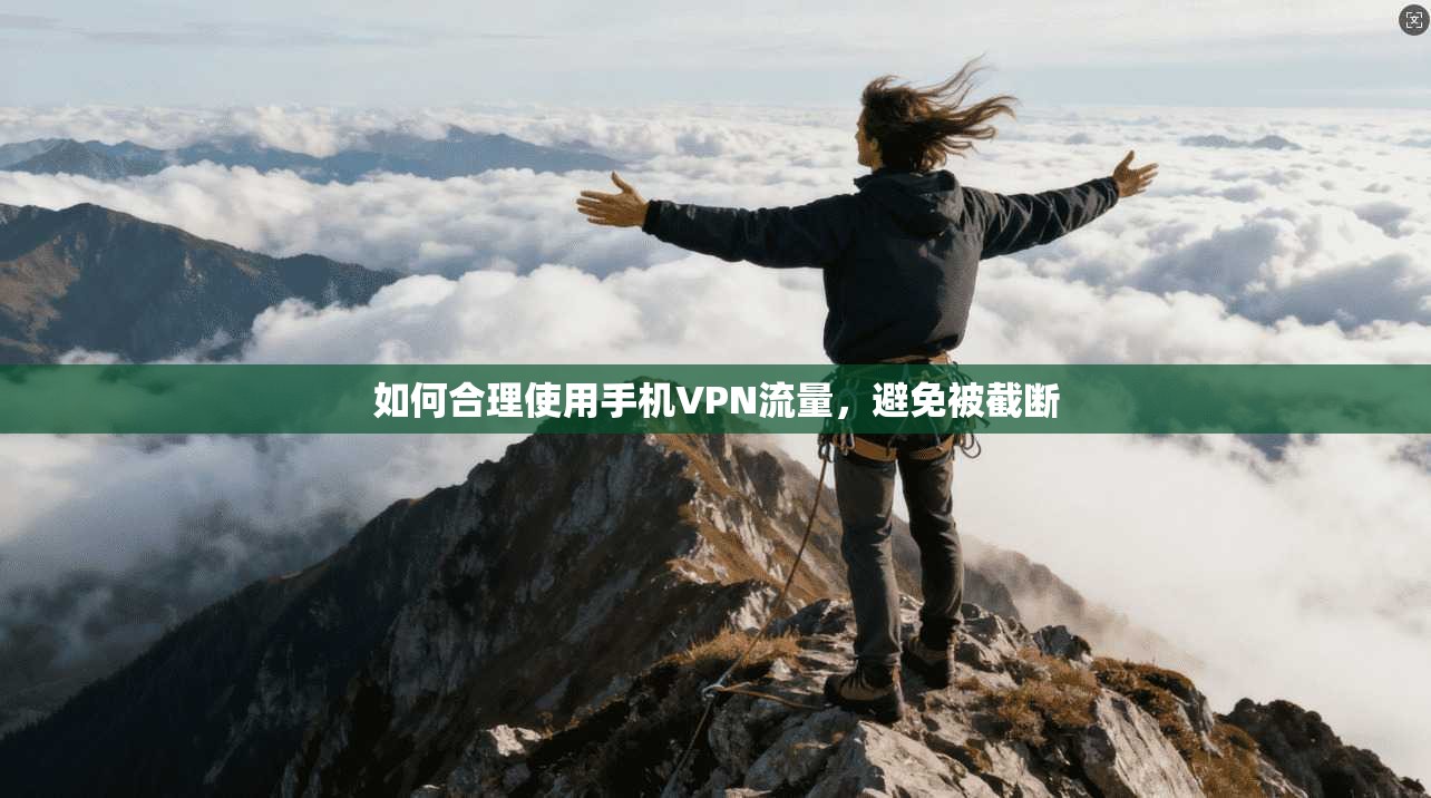 如何合理使用手机VPN流量，避免被截断