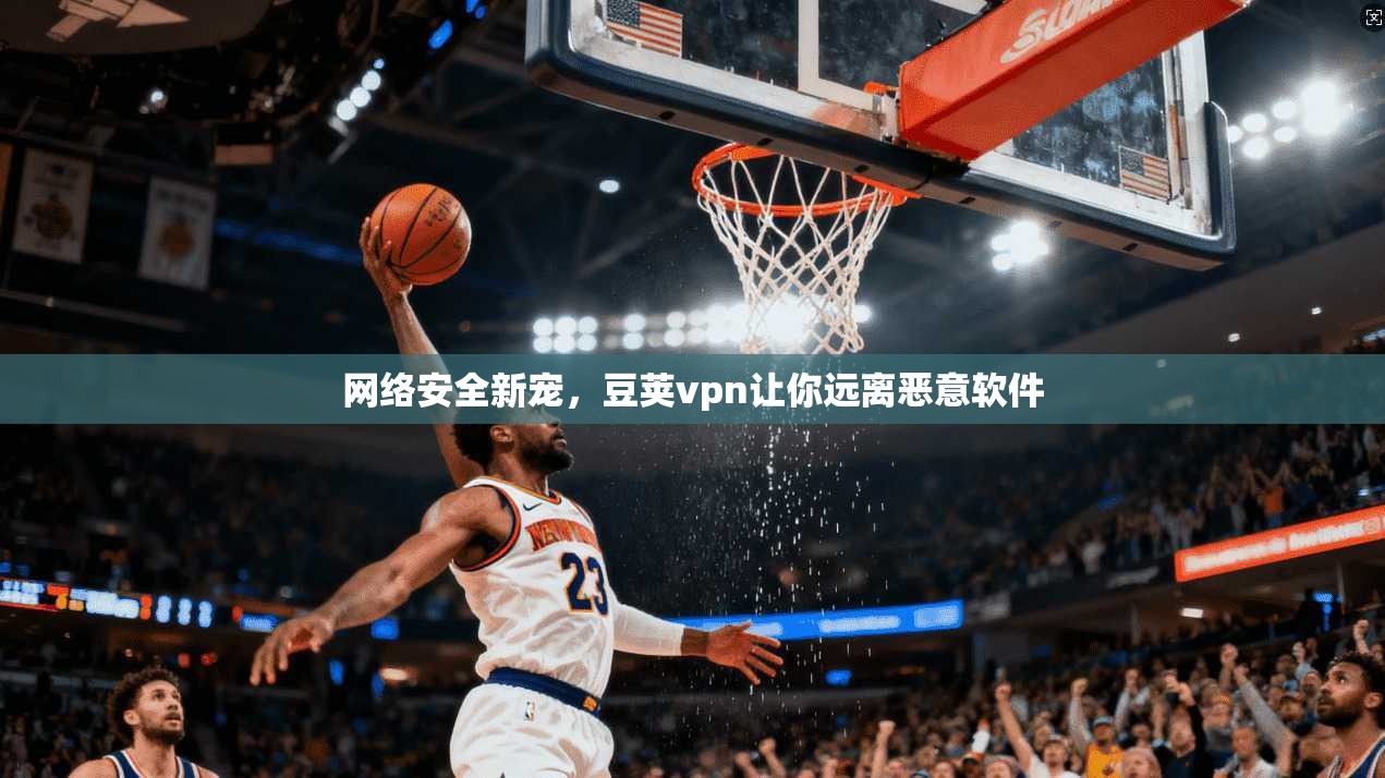 网络安全新宠，豆荚vpn让你远离恶意软件