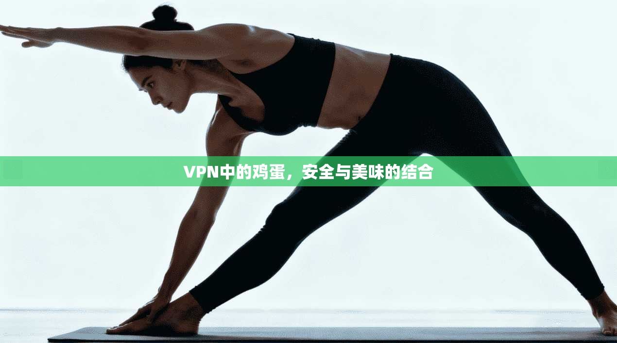 VPN中的鸡蛋，安全与美味的结合
