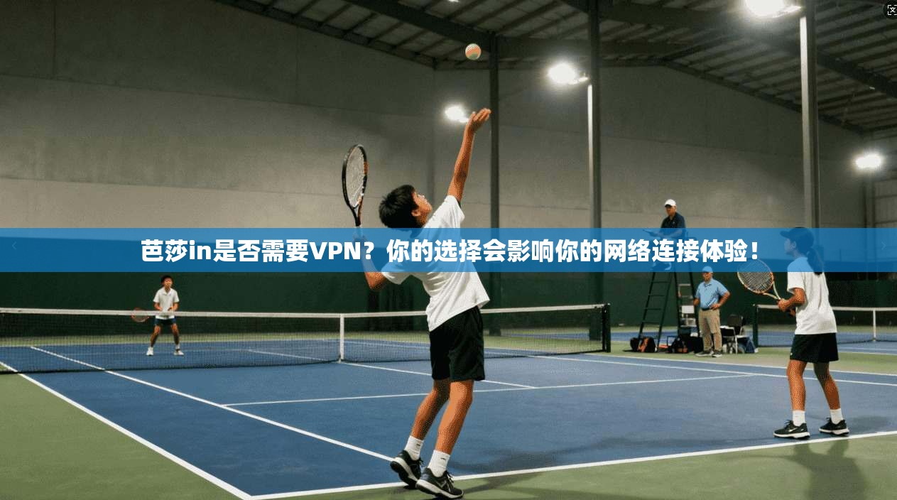 芭莎in是否需要VPN？你的选择会影响你的网络连接体验！