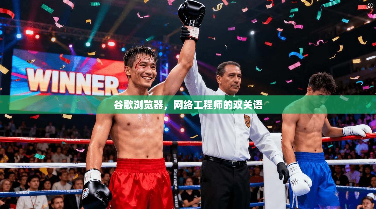 谷歌浏览器,网络工程师的双关语