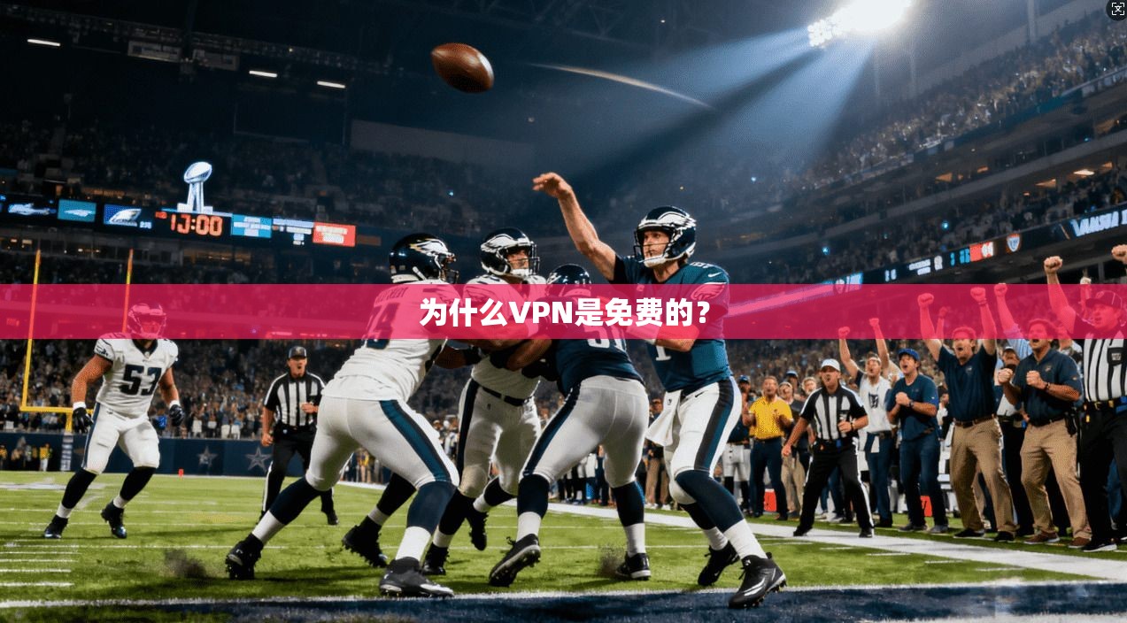 为什么VPN是免费的?