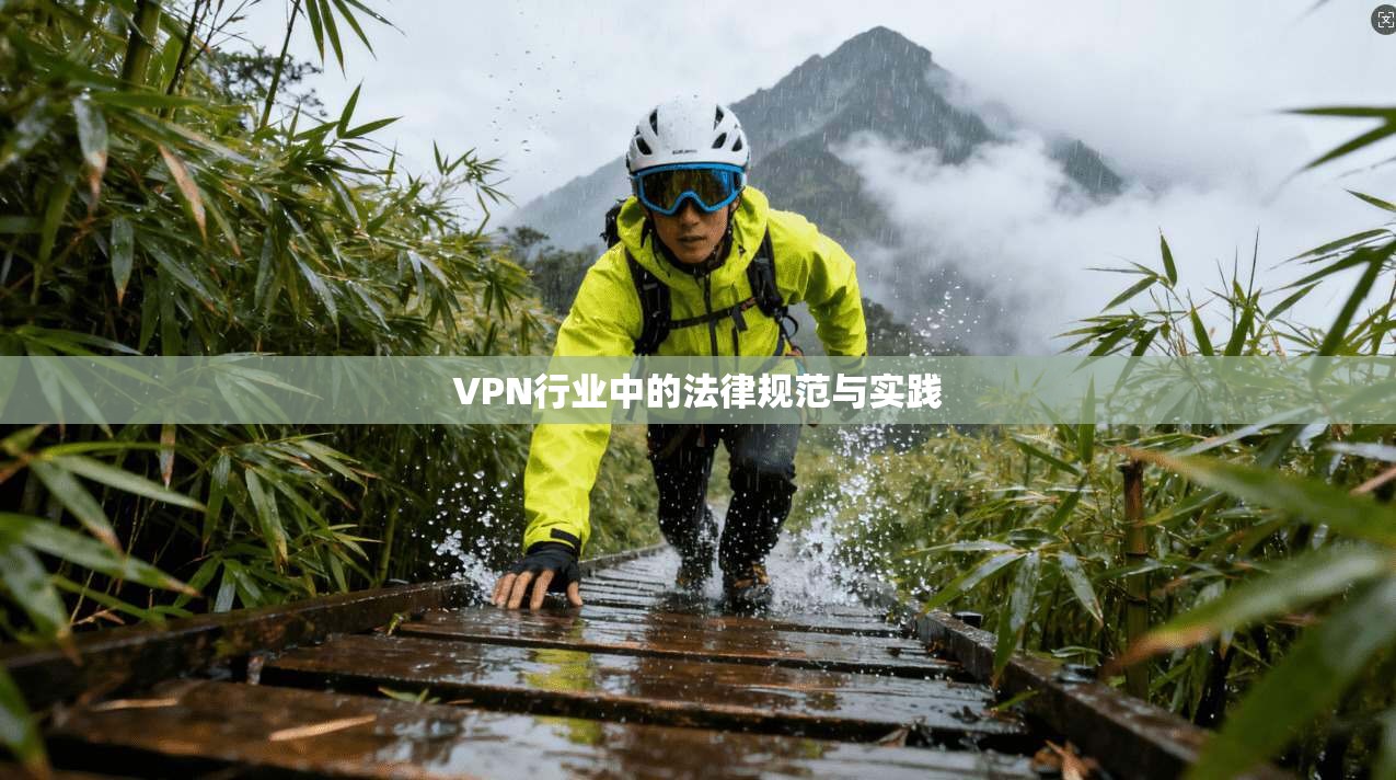 VPN行业中的法律规范与实践