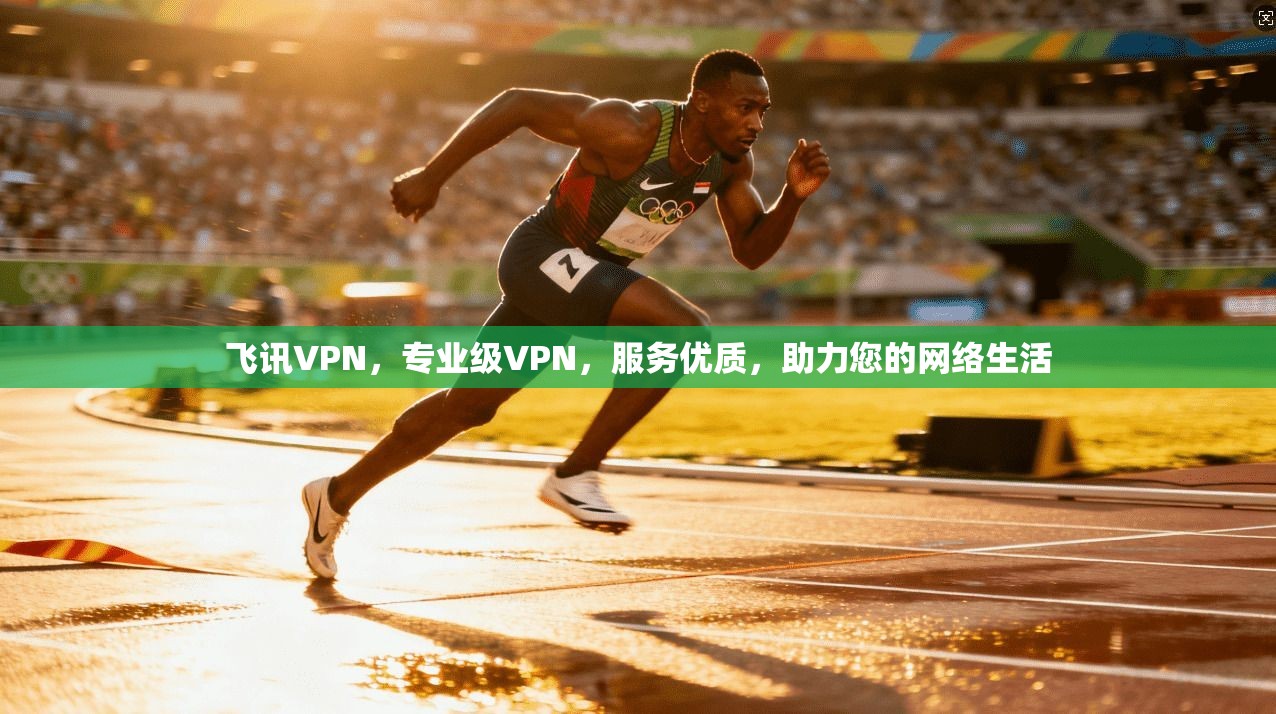 飞讯VPN,专业级VPN,服务优质,助力您的网络生活