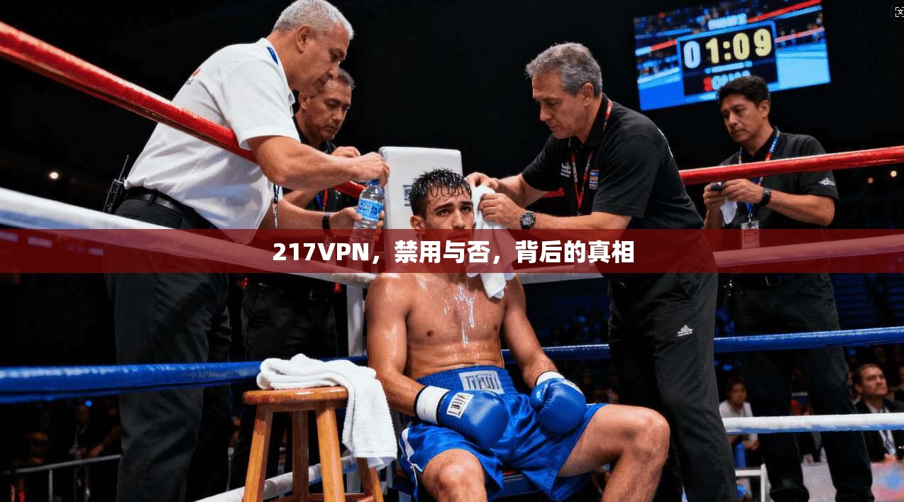 217VPN，禁用与否，背后的真相