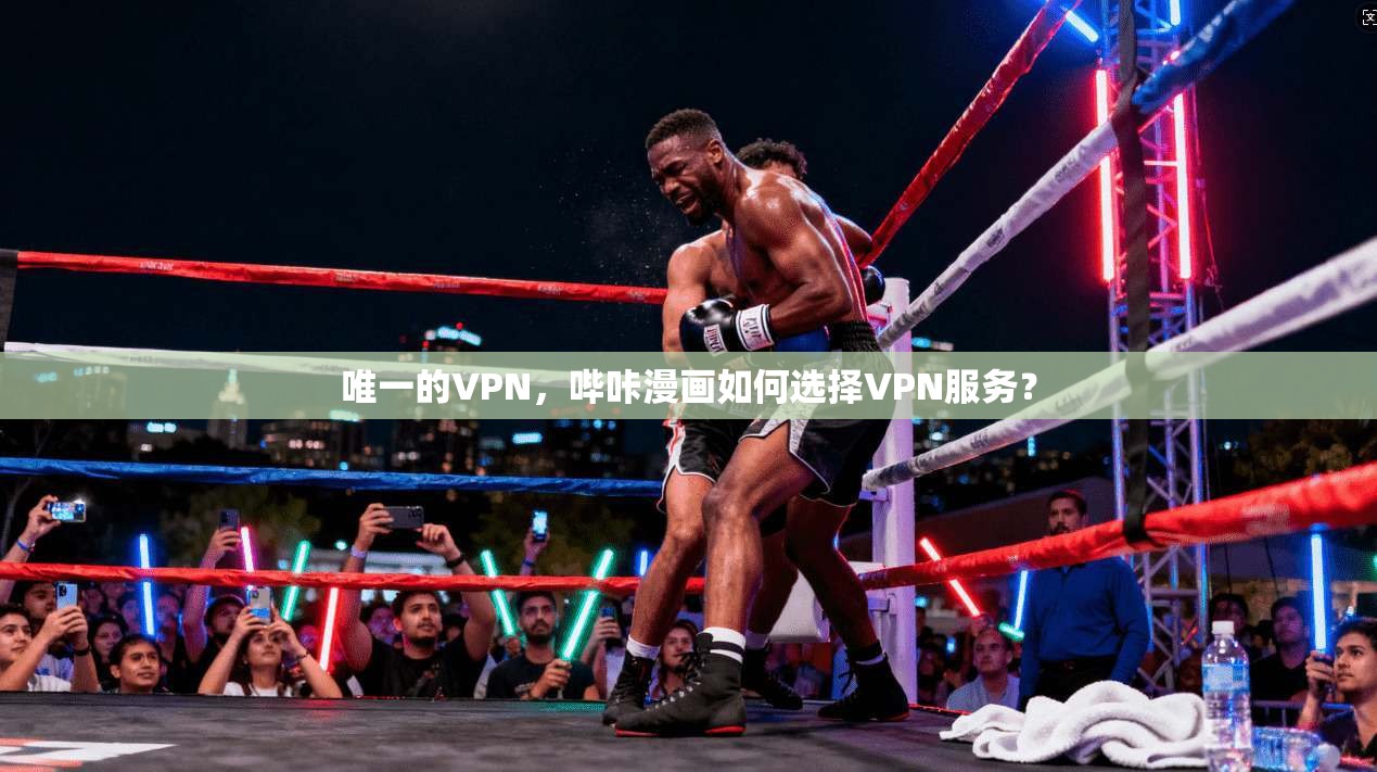 唯一的VPN,哔咔漫画如何选择VPN服务?