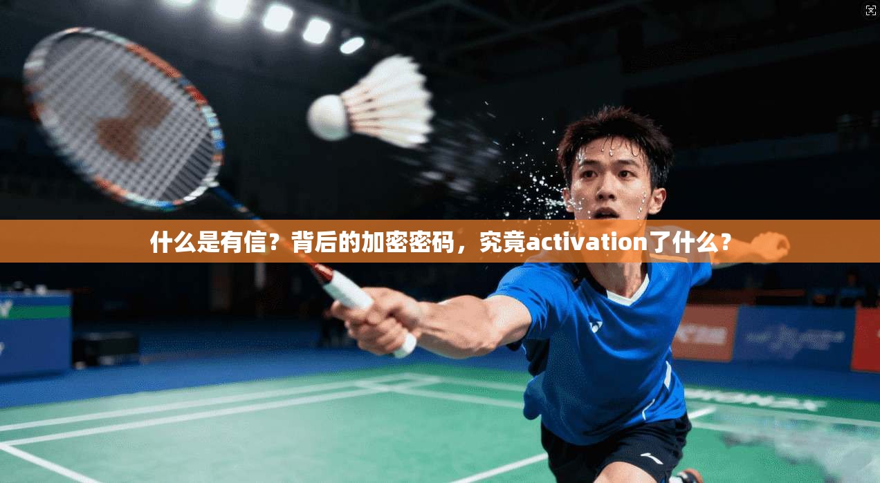 什么是有信？背后的加密密码，究竟activation了什么？