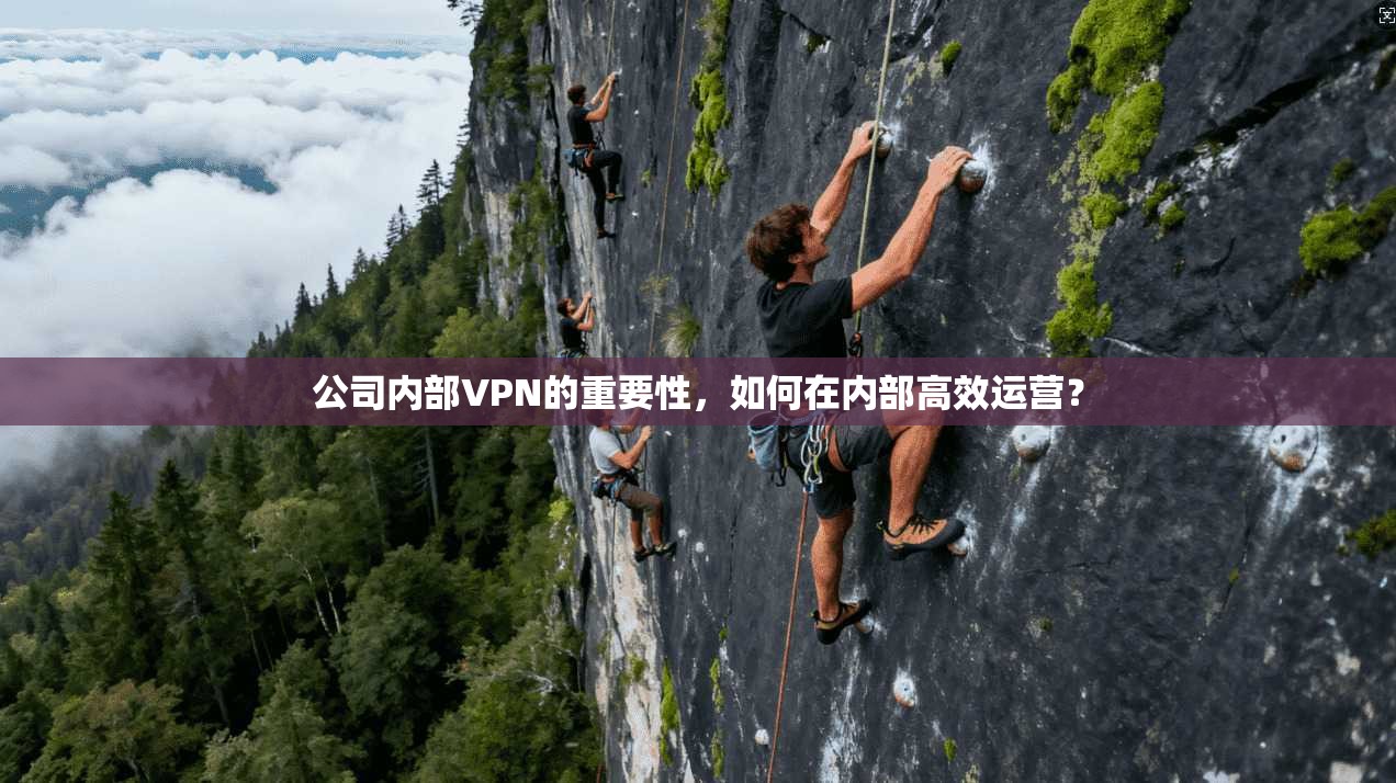 公司内部VPN的重要性，如何在内部高效运营？