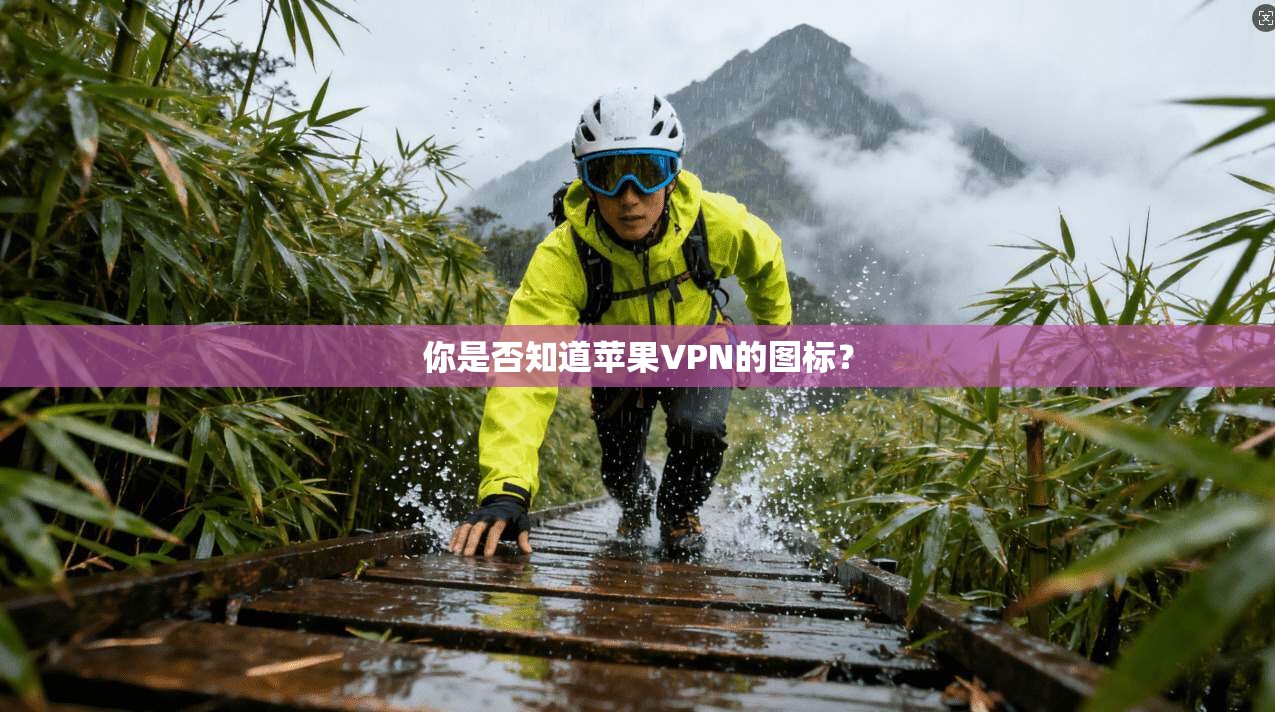 你是否知道苹果VPN的图标？