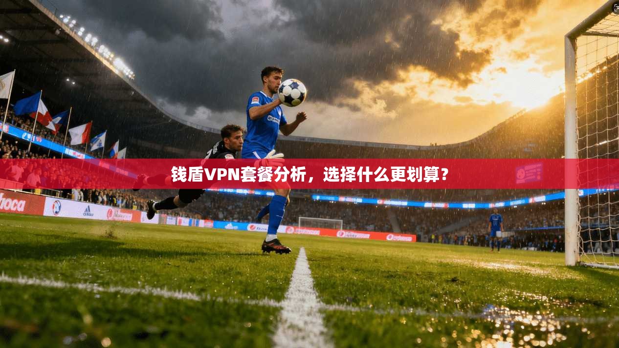 钱盾VPN套餐分析，选择什么更划算？