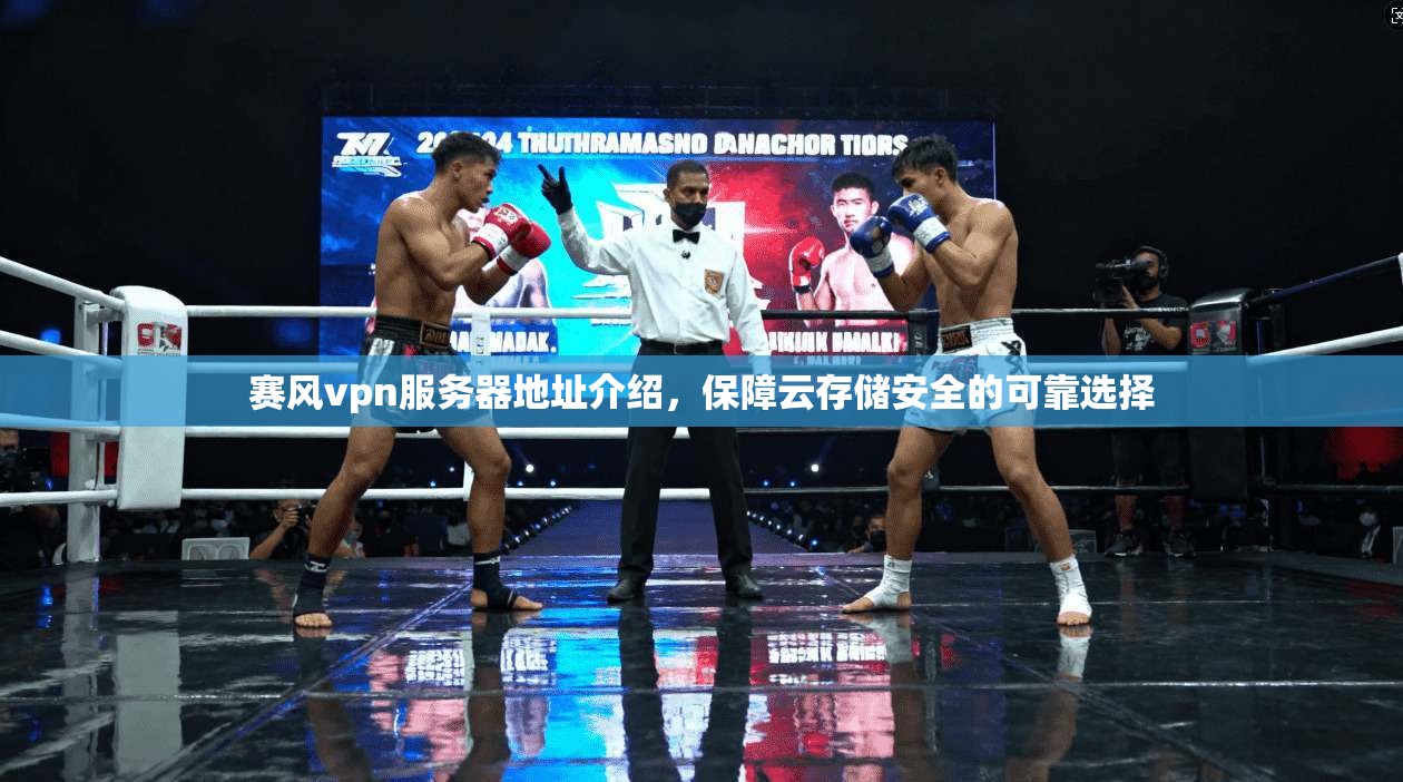 赛风vpn服务器地址介绍，保障云存储安全的可靠选择