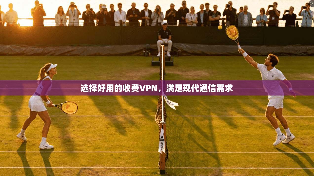 选择好用的收费VPN,满足现代通信需求