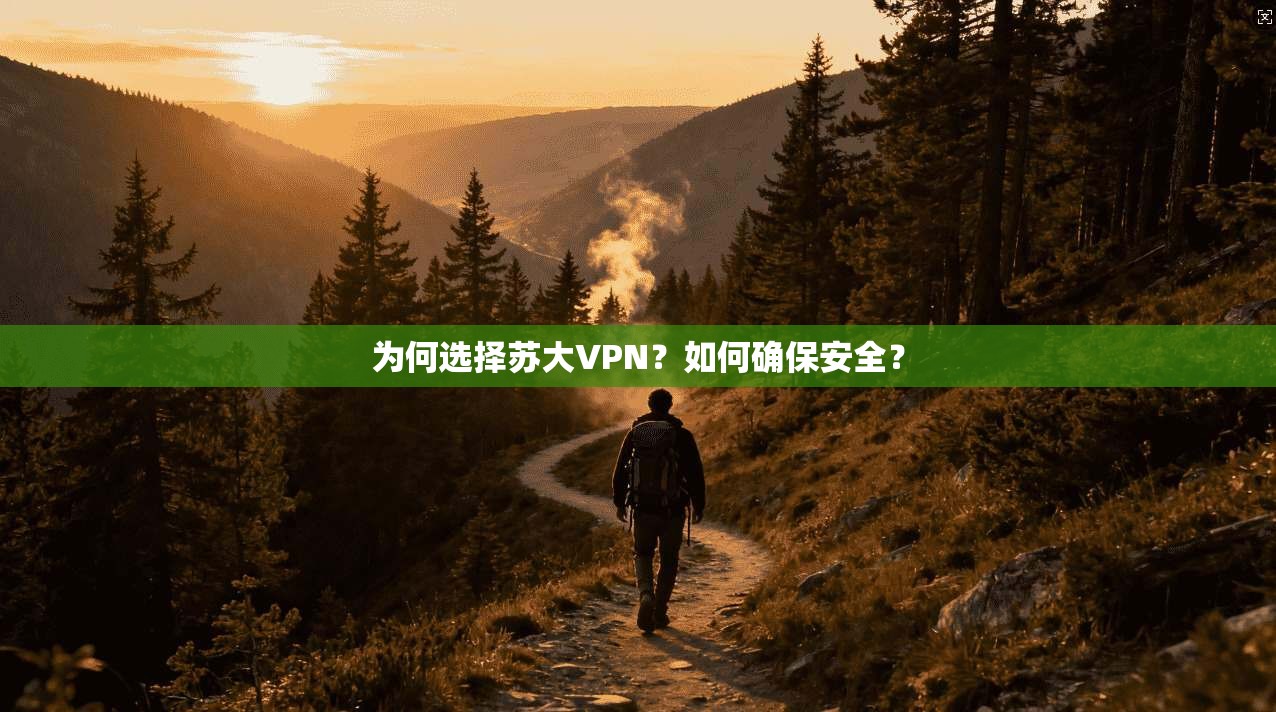 为何选择苏大VPN?如何确保安全?
