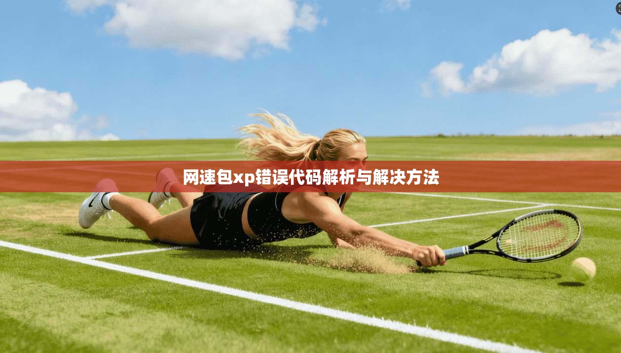 网速包xp错误代码解析与解决方法
