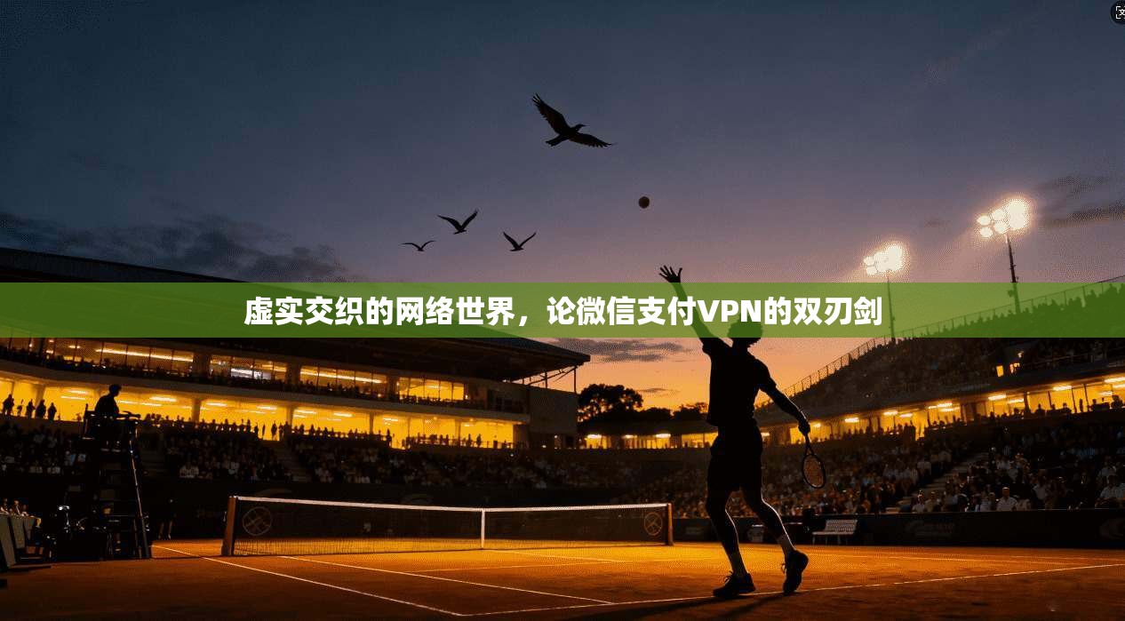 虚实交织的网络世界，论微信支付VPN的双刃剑