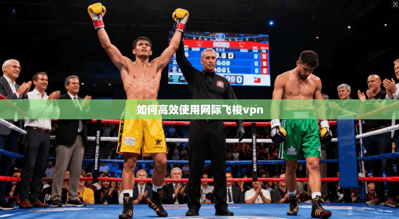 如何高效使用网际飞梭vpn