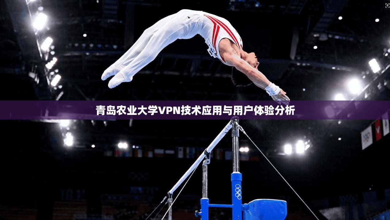 青岛农业大学VPN技术应用与用户体验分析