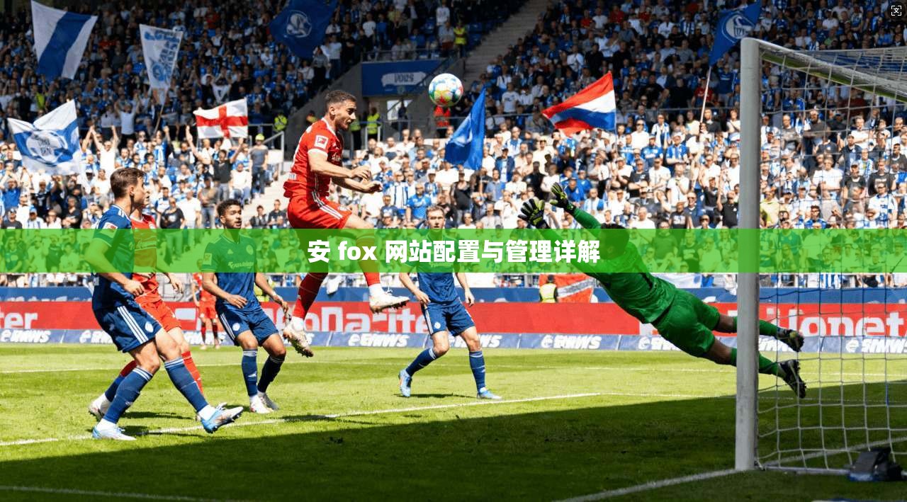 安 fox 网站配置与管理详解