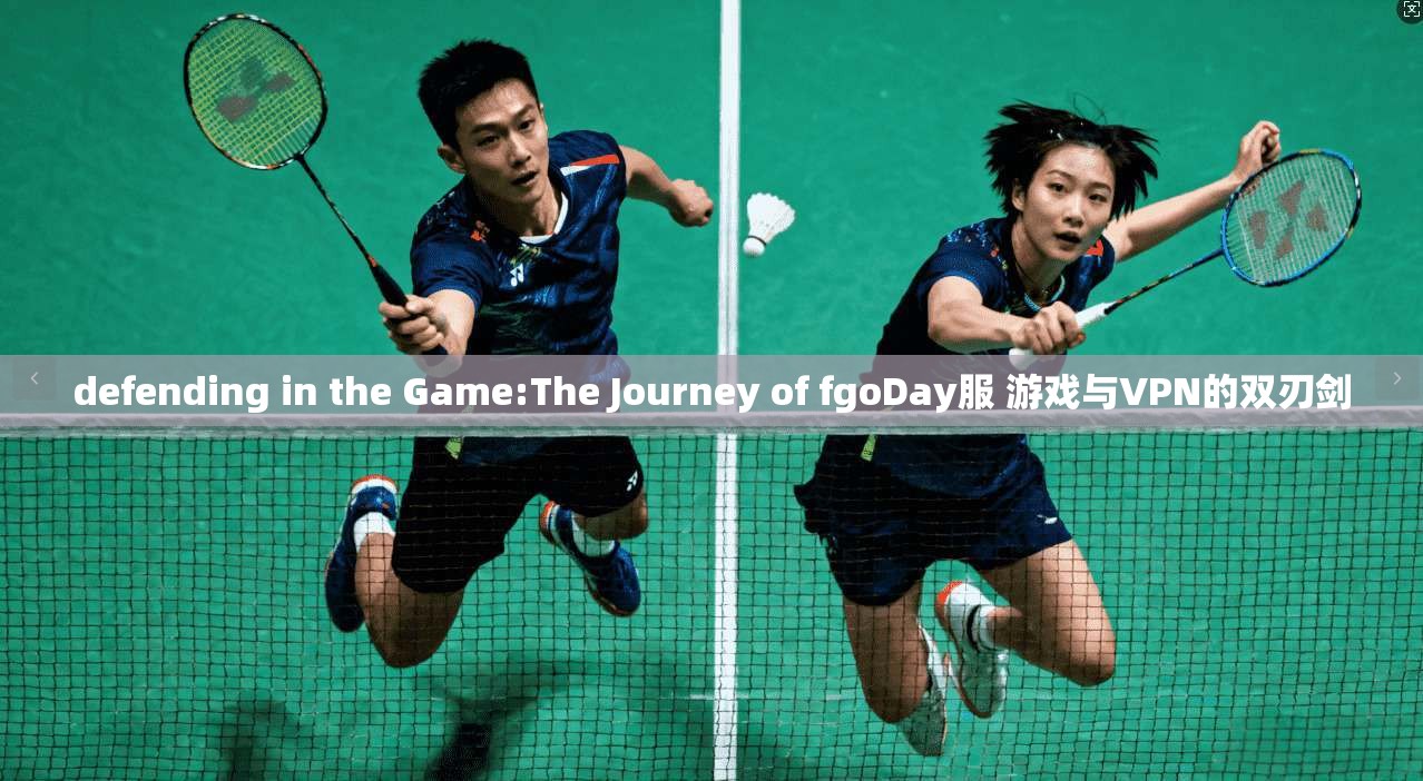 defending in the Game:The Journey of fgoDay服 游戏与VPN的双刃剑
