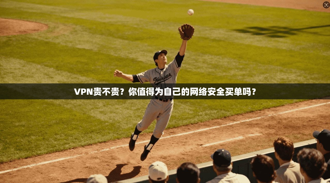 VPN贵不贵?你值得为自己的网络安全买单吗?