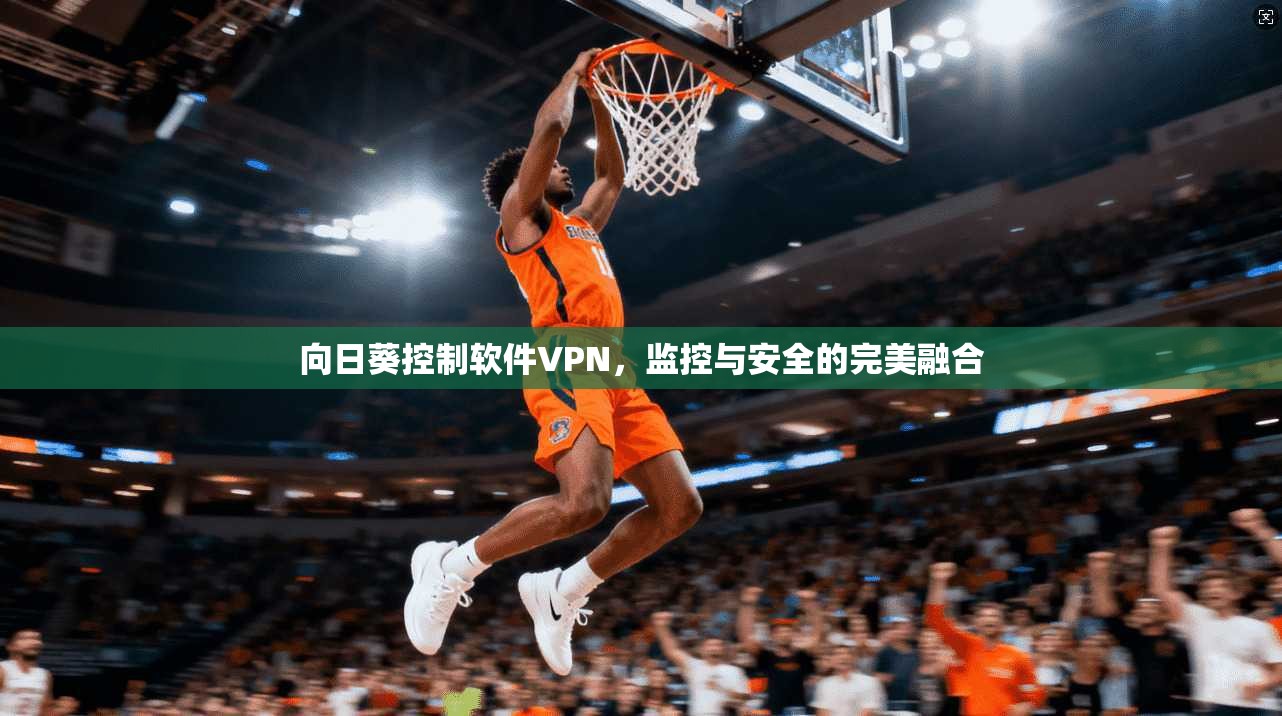 向日葵控制软件VPN，监控与安全的完美融合