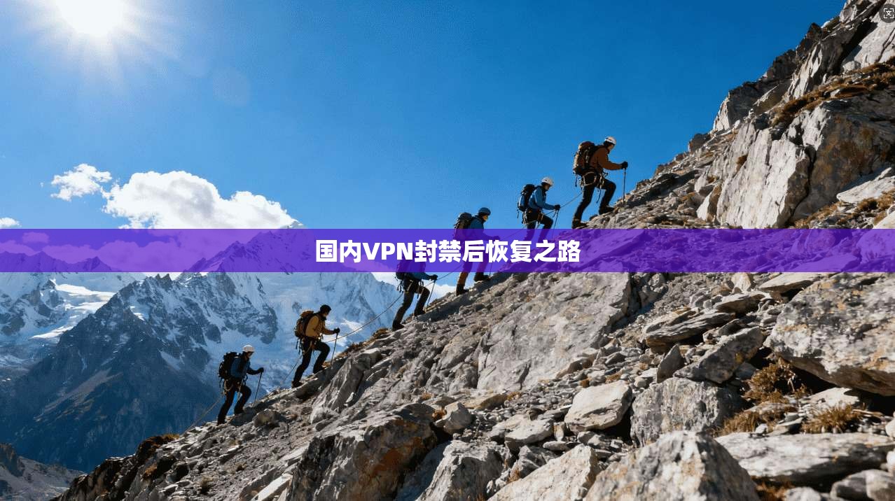 国内VPN封禁后恢复之路