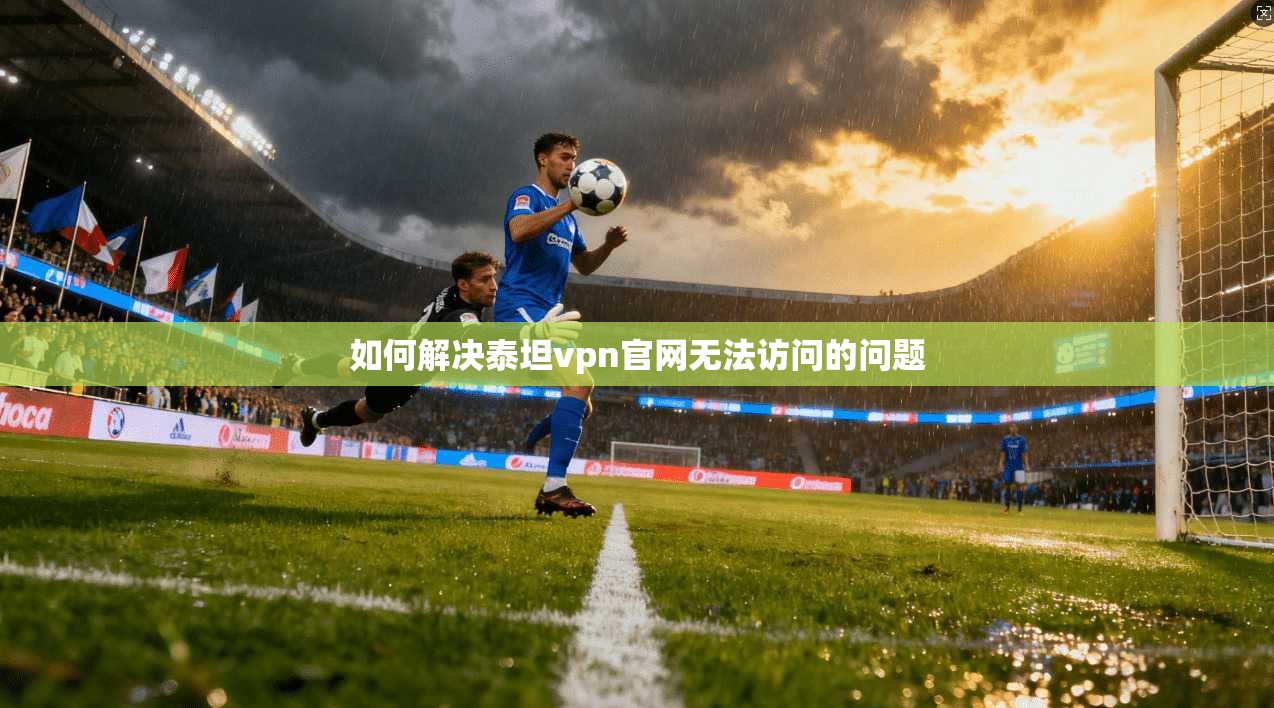 如何解决泰坦vpn官网无法访问的问题