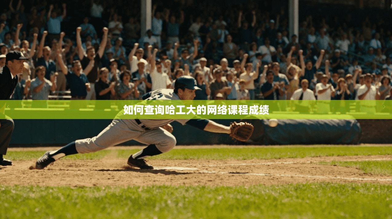 如何查询哈工大的网络课程成绩