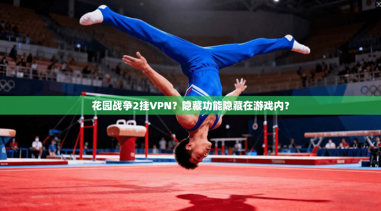 花园战争2挂VPN？隐藏功能隐藏在游戏内？