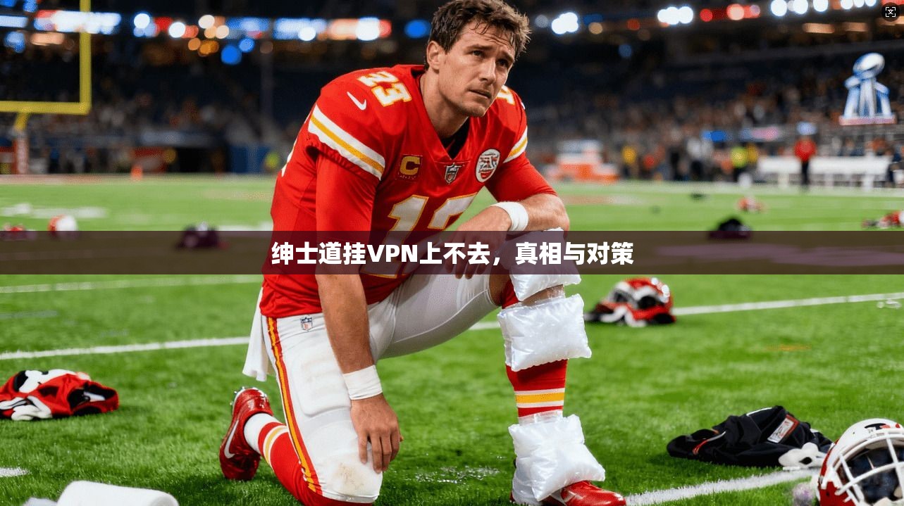 绅士道挂VPN上不去，真相与对策