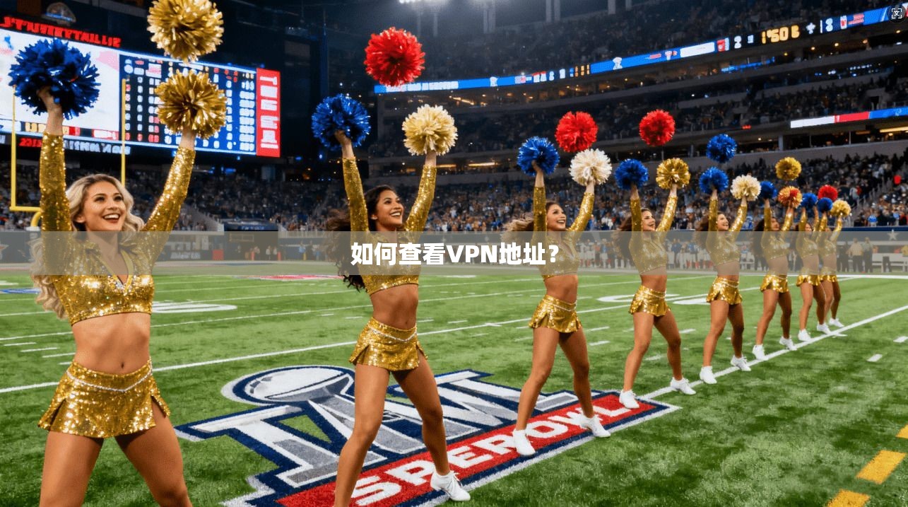 如何查看VPN地址？