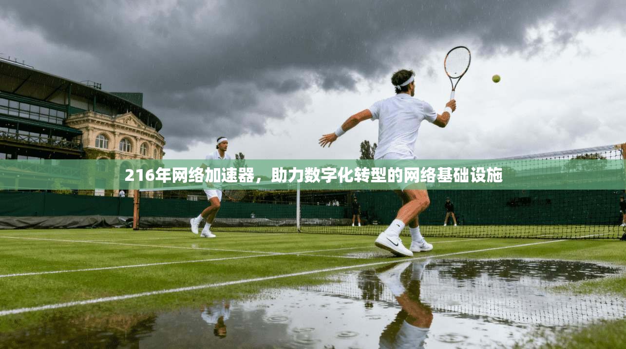 216年网络加速器，助力数字化转型的网络基础设施
