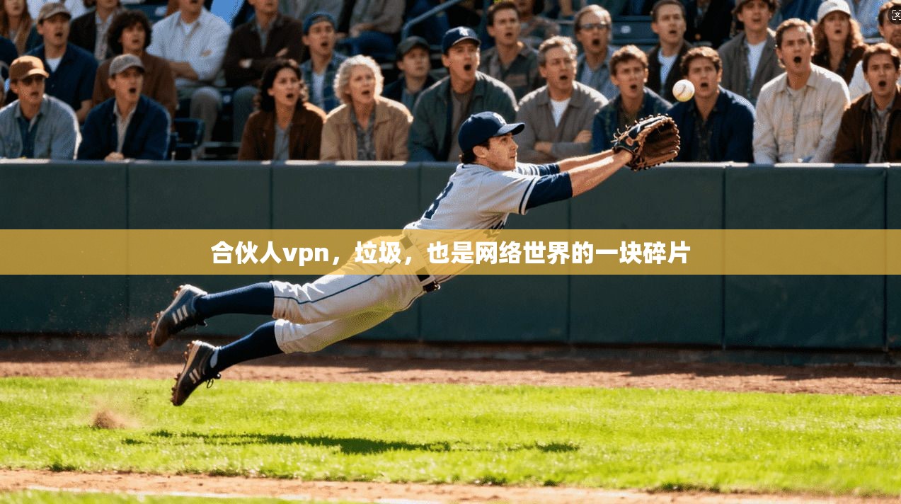 合伙人vpn，垃圾，也是网络世界的一块碎片