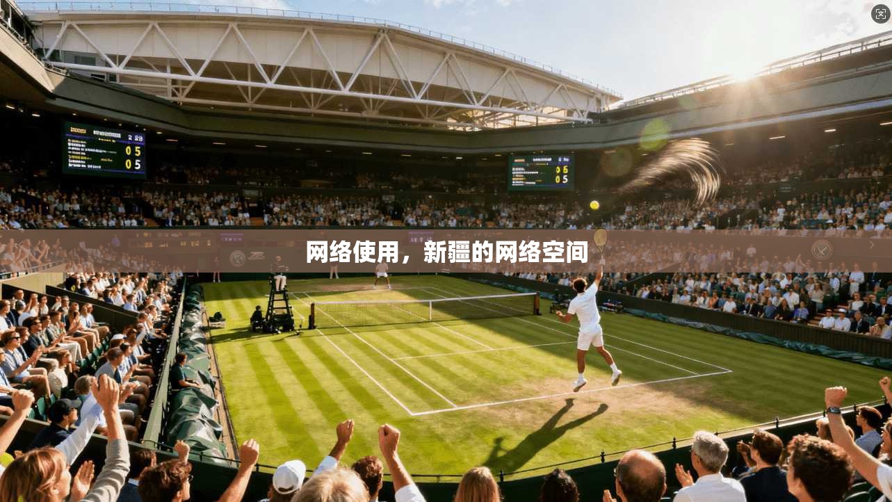 网络使用，新疆的网络空间