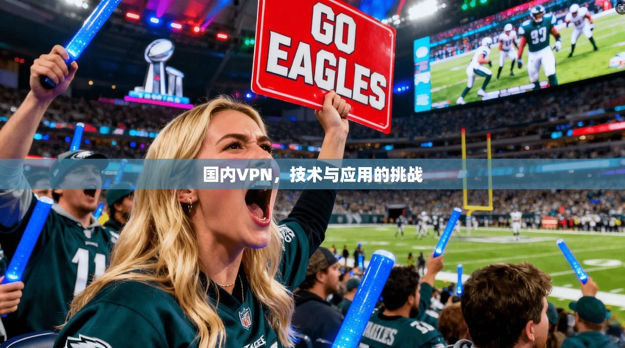 国内VPN，技术与应用的挑战